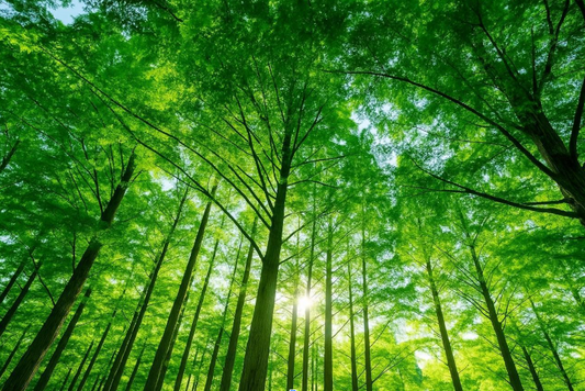 “やさしい選び方”をジャムから。エシカルな挑戦！